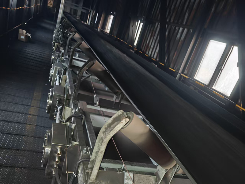 中盐安徽红四方股份有限公司，阵列高精度电子皮带秤，4套